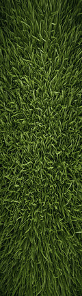 Touch Grass